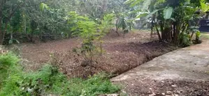 Kalutara : 11.6 Perches Land for Sale at Ethanamadala