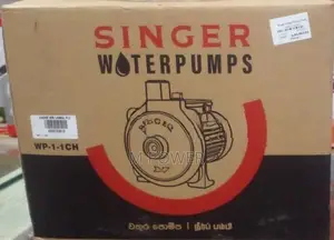 Singer Water Pump (1HP) (wp-1-1-CH-S)