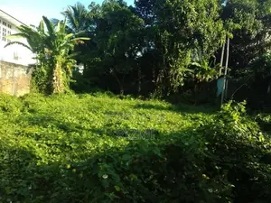 13 Perches Land for Sale in Dehiwala Roopasinga Road