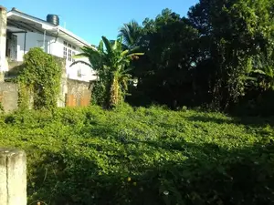 13 Perches Land for Sale in Dehiwala Roopasinga Road