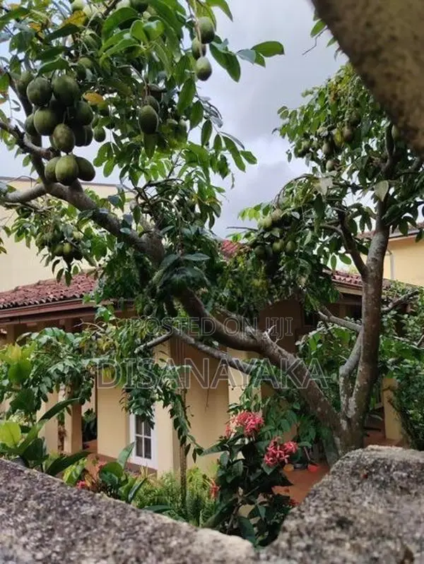 two house for sale in subuthipura Ds30908