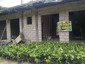 Haldummulla : 2BR House ( Under construction) with 2 Acres Land for Sa