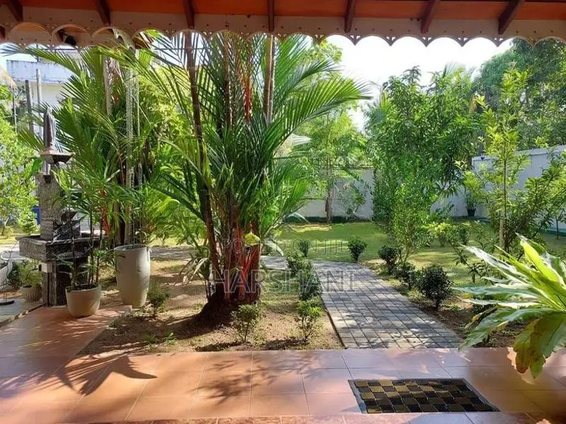 Solar Powered Spacious House with Garden Close to Katana Main Rd