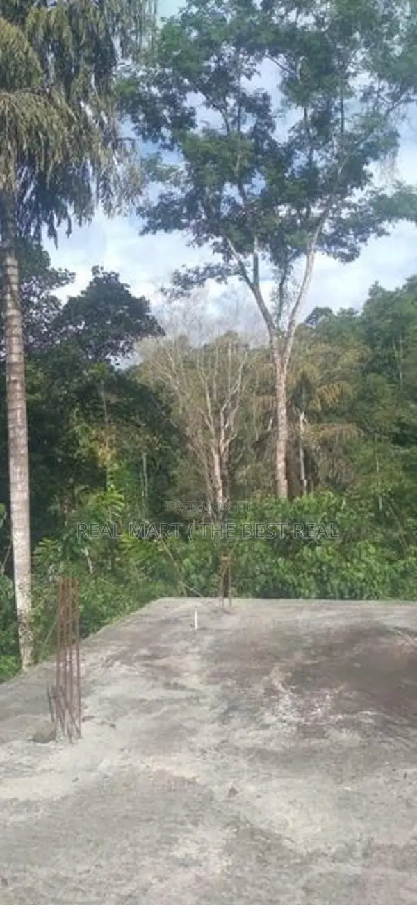 Haldummulla : 2BR House ( Under construction) with 2 Acres Land for Sa