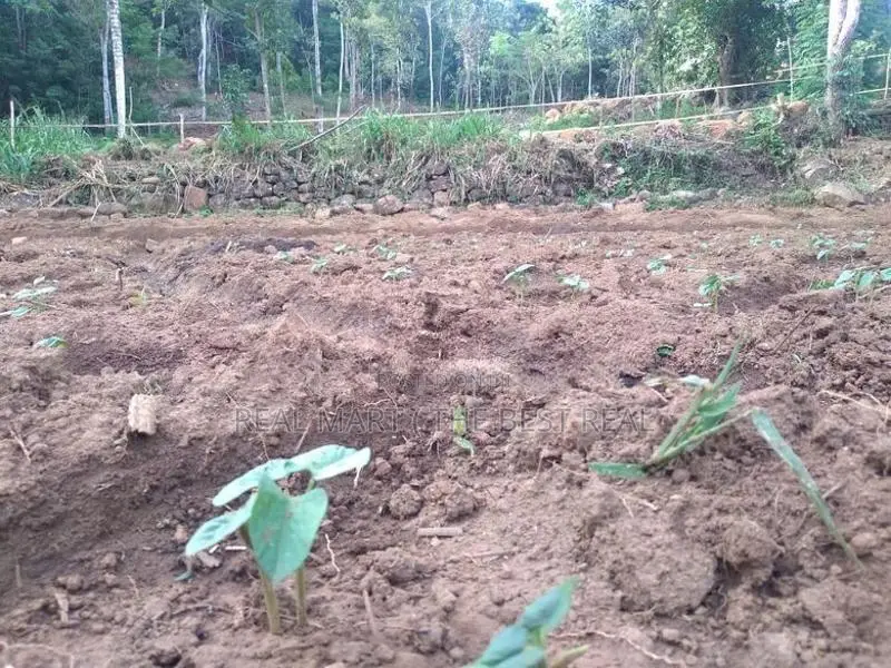 Haldummulla : 2BR House ( Under construction) with 2 Acres Land for Sa