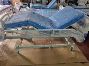Four Function Electric Hospital Beds