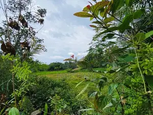 4 Acres Superb Land Facing Paddy field Close to Tech City Homagama