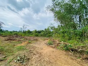 4 Acres Superb Land Facing Paddy field Close to Tech City Homagama
