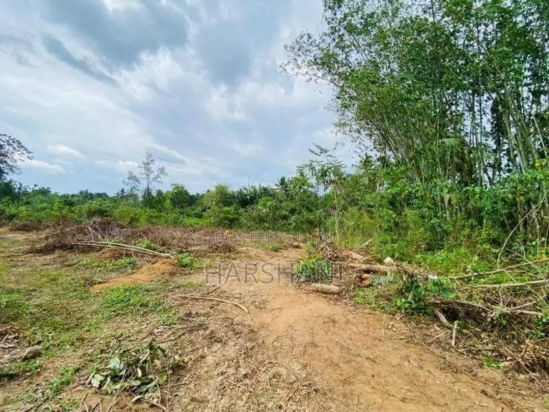 4 Acres Superb Land Facing Paddy field Close to Tech City Homagama