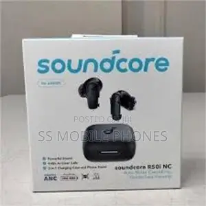 Anker Soundcore R50i Earpods