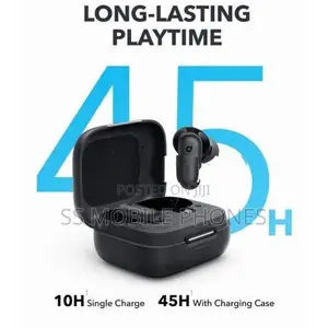 Anker Soundcore R50i Earpods