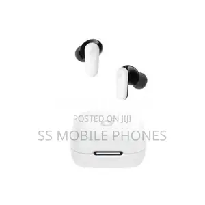 Anker Soundcore R50i Earpods