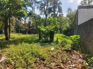 Bellanwila walking path 70 Perches Land For Rent