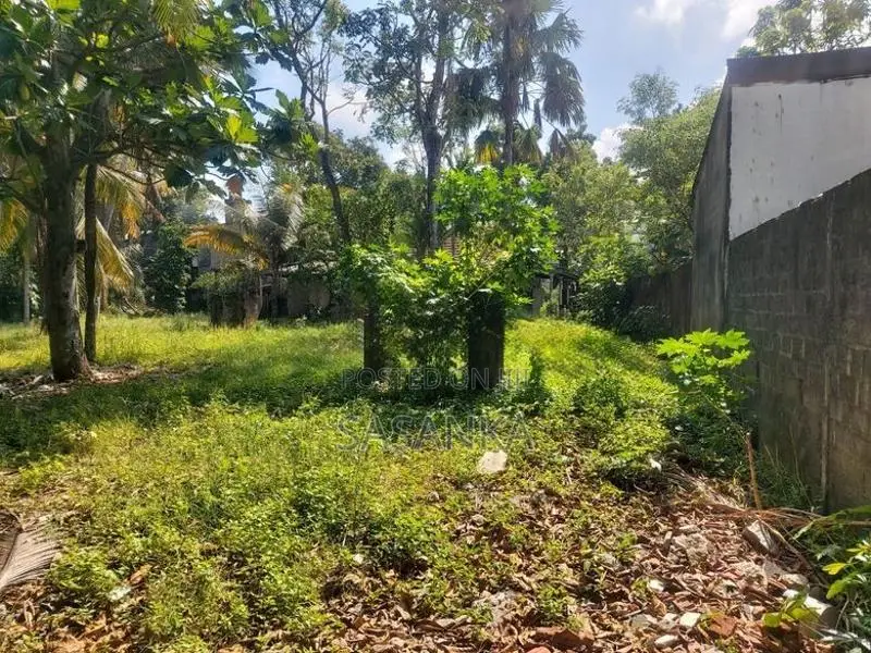 Bellanwila walking path 70 Perches Land For Rent