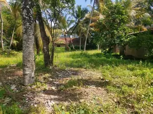 Bellanwila walking path 70 Perches Land For Rent