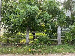 Battaramulla - Thalangama 10p Land for sale • TPM2024RANDU2