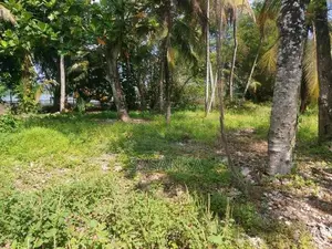 Bellanwila walking path 70 Perches Land For Rent
