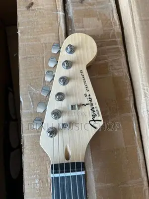 Electric Guitars