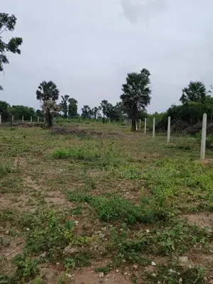 Land For Sale Thaijiddy