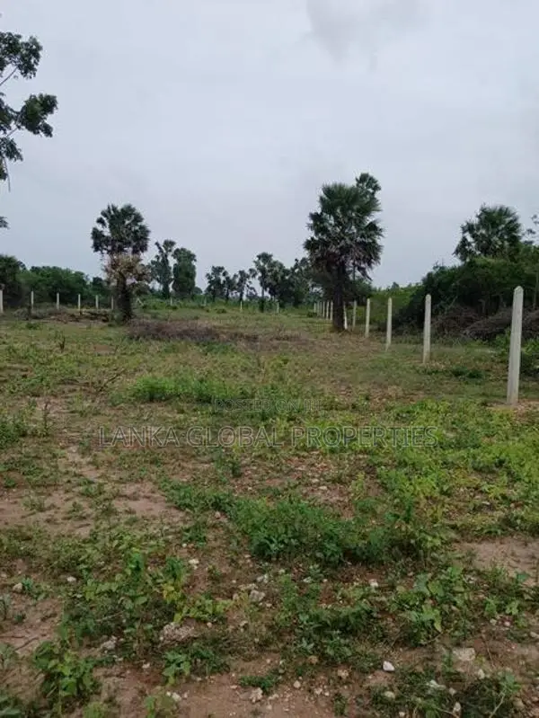 Land For Sale Thaijiddy