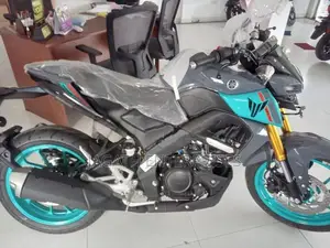 Yamaha MT 15 Gray 2025