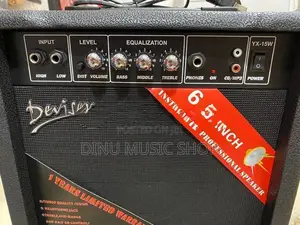 Diviser Guitar Amplifier (Back Amp)