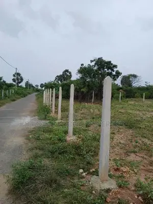 Land For Sale Thaijiddy