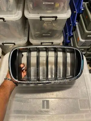 BMW X5 2016 Passenger Bumper Kidney Grill