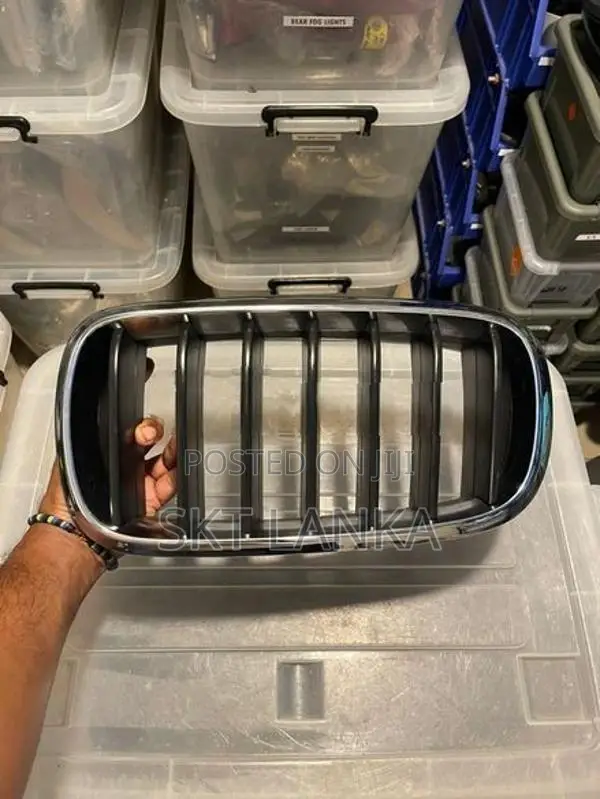 BMW X5 2016 Passenger Bumper Kidney Grill