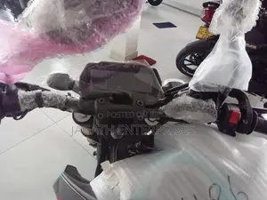 Yamaha MT 15 Gray 2025