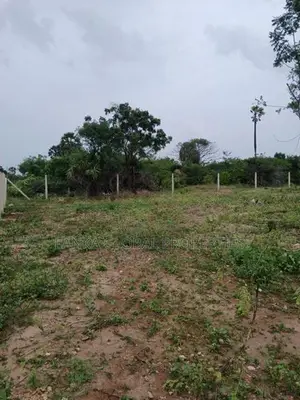 Land For Sale Thaijiddy