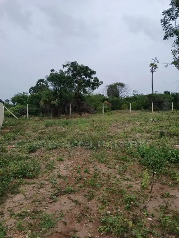 Land For Sale Thaijiddy