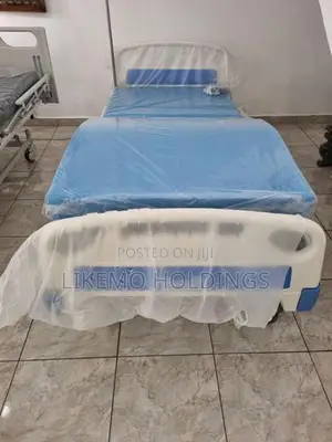 Patient Four Function Electric Hospital Bed