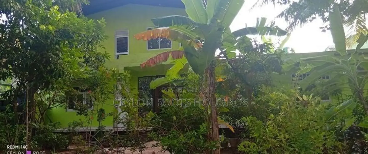 Upstair Annex for Rent, This Is Only Given To a Single Man or Boy,