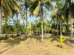 (afa842) 58 P Land at 200 M Galle Road Wadduwa Kalutara