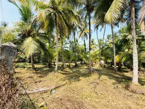 (afa842) 58 P Land at 200 M Galle Road Wadduwa Kalutara
