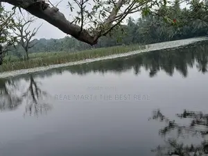 Hambantota : 80 perches land with paddy fields for sale