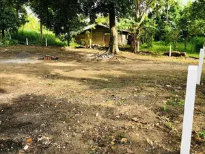 20 Perch land close to Thalawathugoda junction for sale.