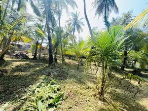 (af561) 58 P Land at 200 M Galle Road Wadduwa Kalutara