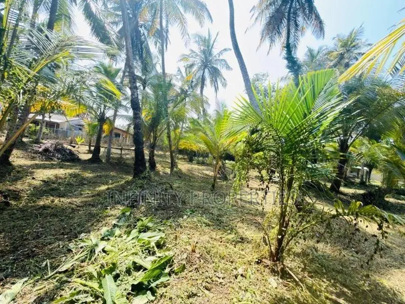(af561) 58 P Land at 200 M Galle Road Wadduwa Kalutara