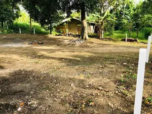 (AF566) 20 Perch land close to Thalawathugoda junction for sale.