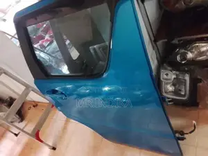 Suzuki Wagon R Door