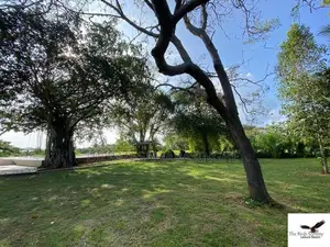 Luxury Villa for Sale in Thissamaharama