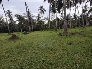 අත්තනගල්ල නුවර පාරට ආසන්නයේ සුපරි ඉඩමක් විකිණීමට