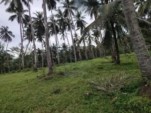 අත්තනගල්ල නුවර පාරට ආසන්නයේ සුපරි ඉඩමක් විකිණීමට