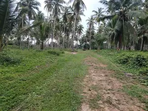 අත්තනගල්ල නුවර පාරට ආසන්නයේ සුපරි ඉඩමක් විකිණීමට