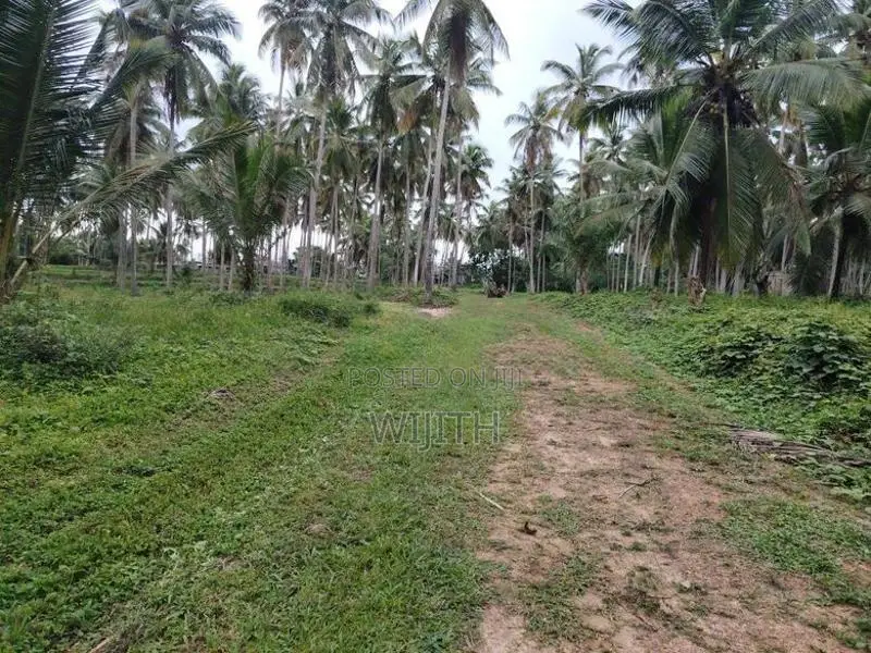 අත්තනගල්ල නුවර පාරට ආසන්නයේ සුපරි ඉඩමක් විකිණීමට