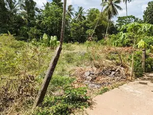 Land for Sale in Katunayake