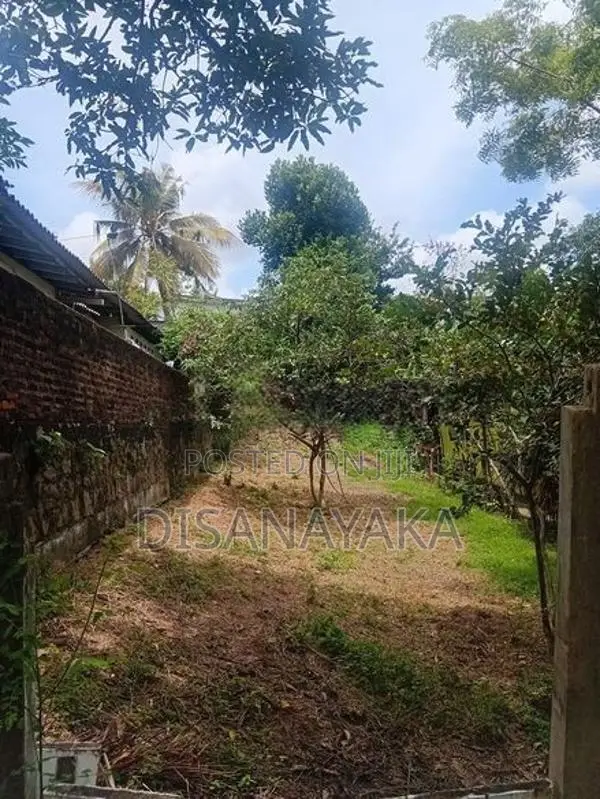Super Land for Sale in Pitakotte DS20906
