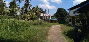 Warehouse for Rent in Kadawatha ( Mahara )